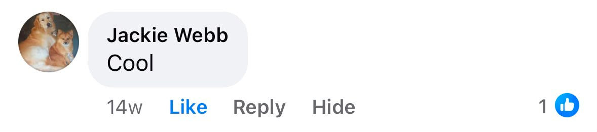 Customer review
